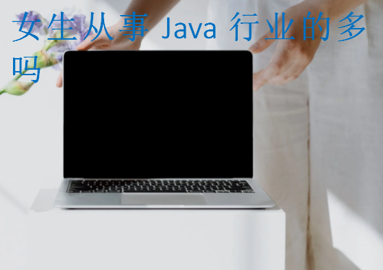 女生從事Java行業(yè)的多嗎