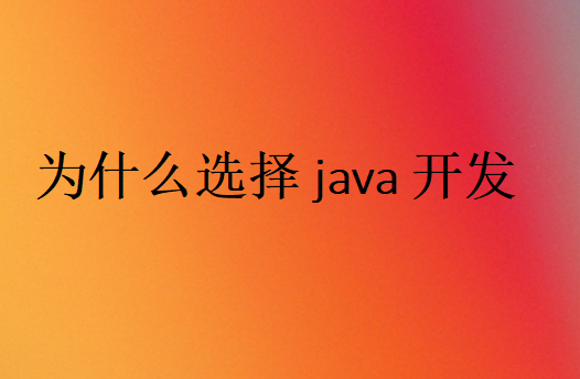 Java開發是什么