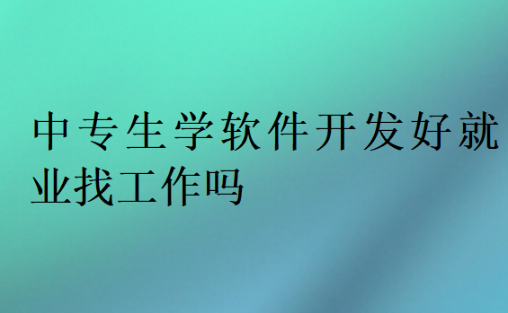 中專生學軟件開發好就業找工作嗎